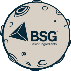 BSG Moon Logo