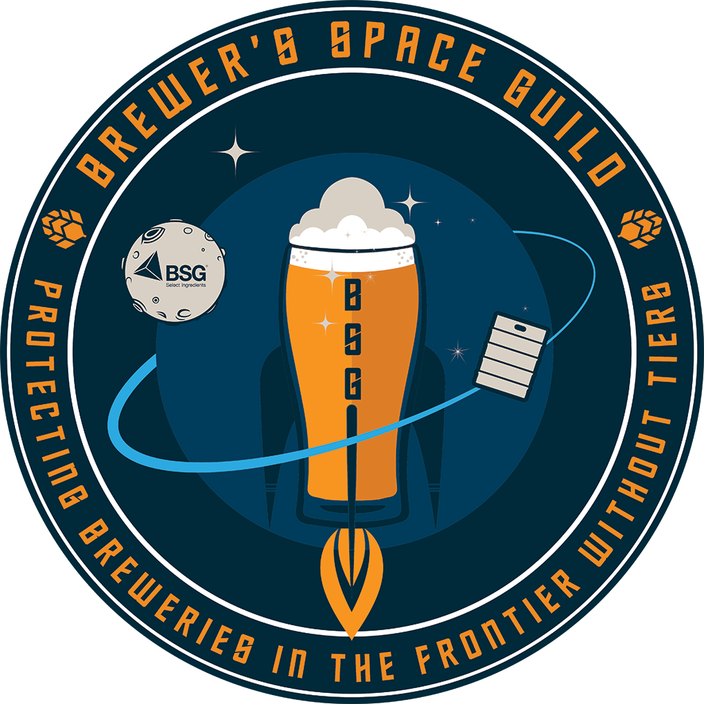 BSG Space Logo